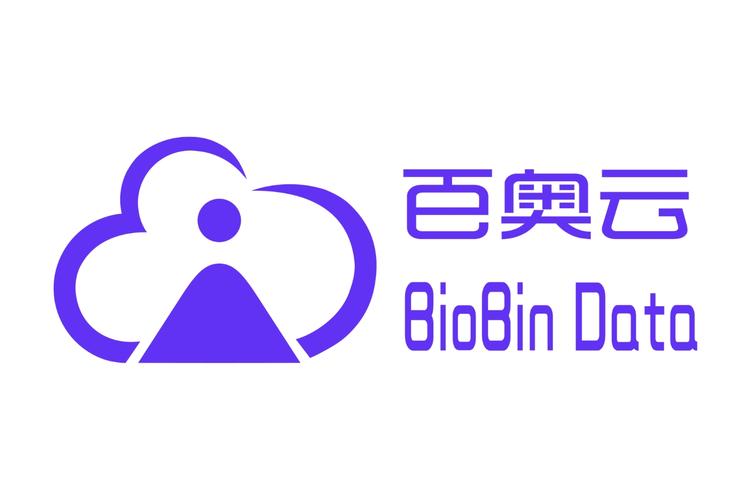 王冰冰公司经营范围解读 数据、软件与互联网技术布局